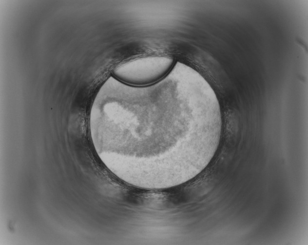 X0000101960313200808081534