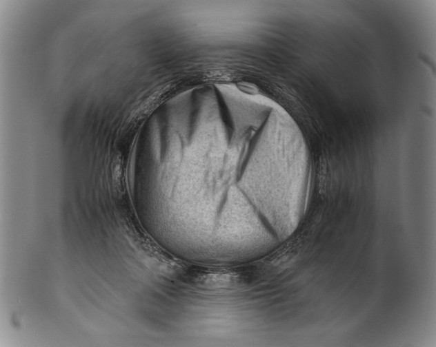 X0000101960314200808081534