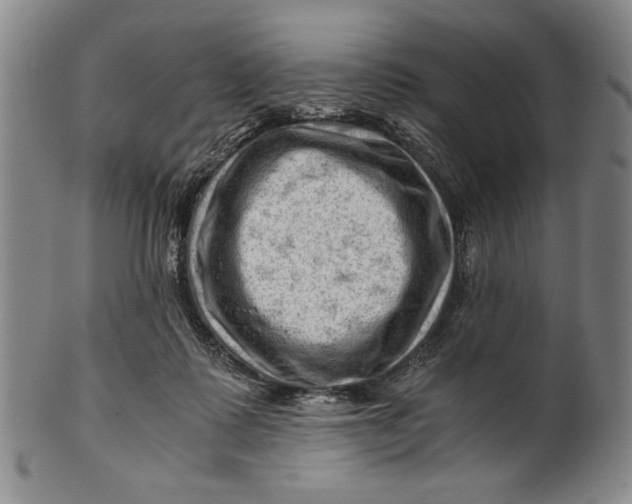 X0000101960315200808081534