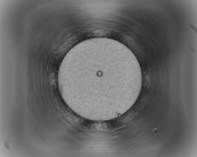 X0000101960317200808081534