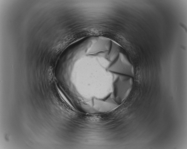X0000101960318200808081534