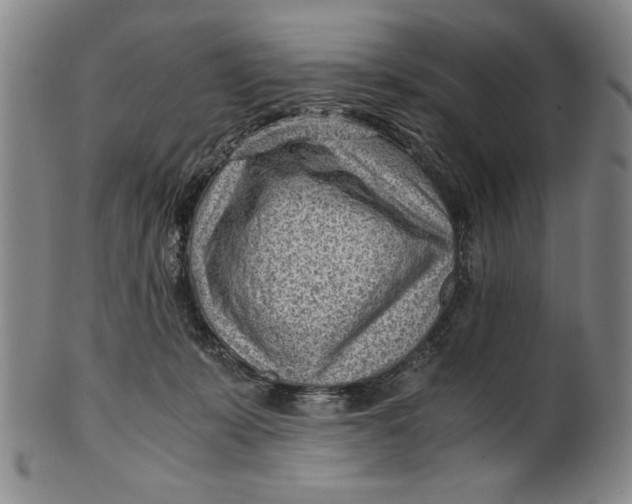X0000101960319200808081534