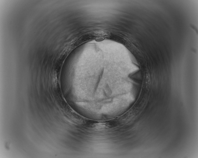 X0000101960320200808081534