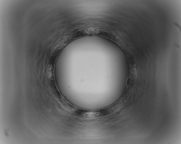 X0000101960323200808081534