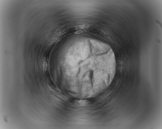 X0000101960324200808081534