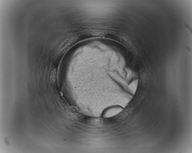 X0000101960325200808081534
