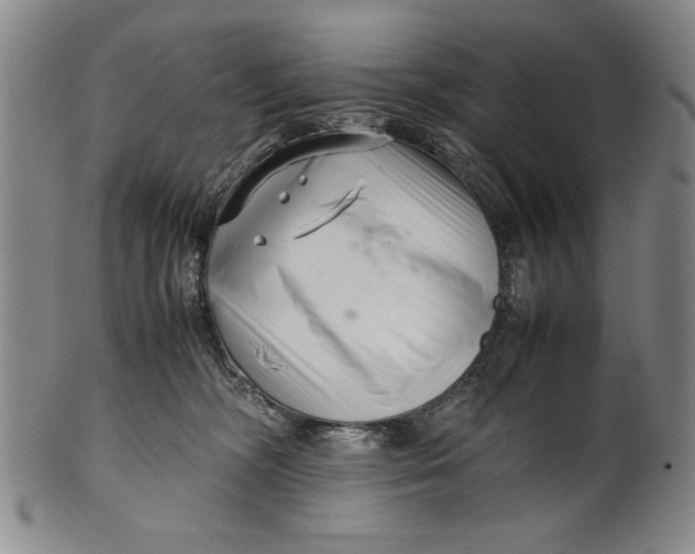 X0000101960326200808081534