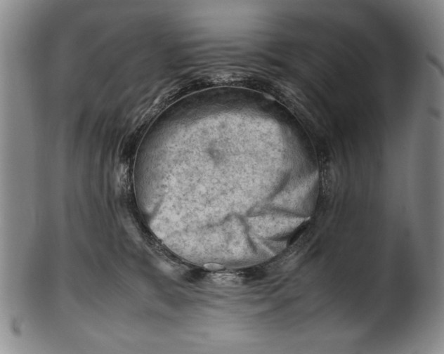 X0000101960327200808081534