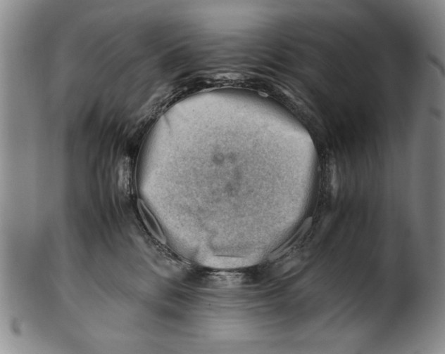 X0000101960328200808081534