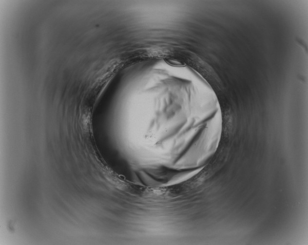 X0000101960329200808081534