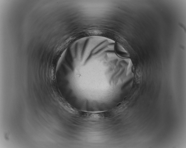 X0000101960330200808081534