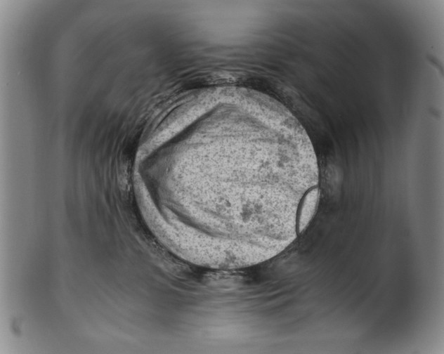 X0000101960331200808081534