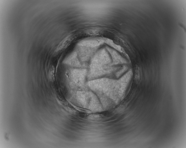 X0000101960332200808081534