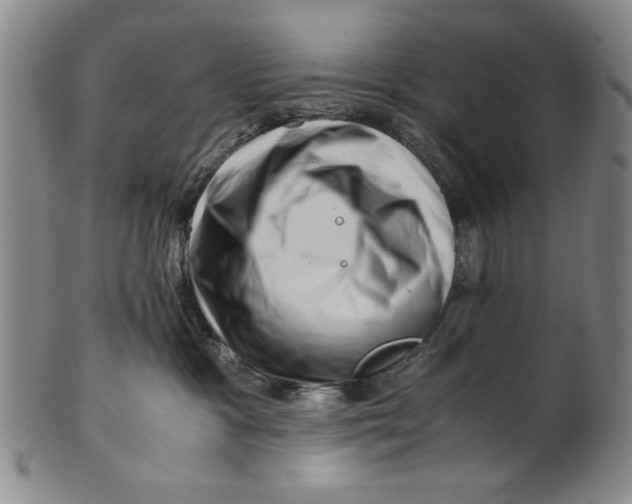 X0000101960333200808081534