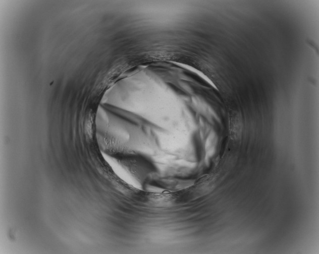 X0000101960334200808081534