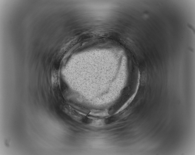 X0000101960335200808081534