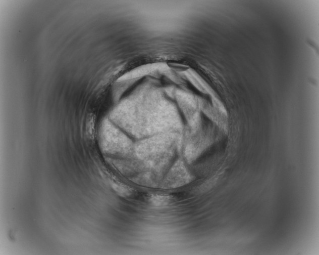 X0000101960336200808081534