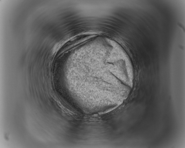 X0000101960337200808081533
