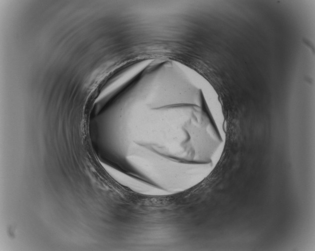 X0000101960338200808081533