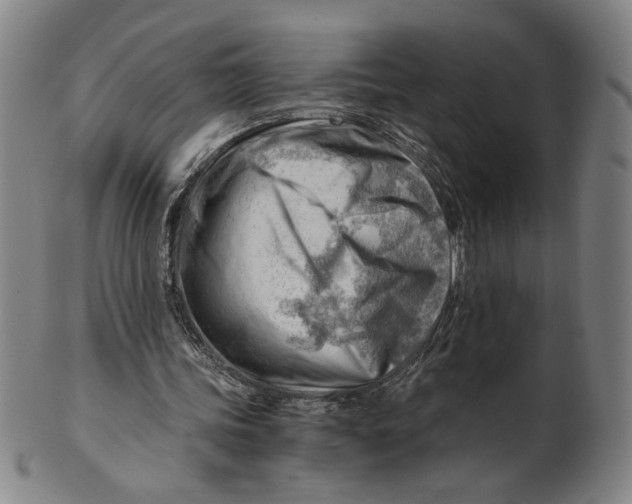 X0000101960339200808081533