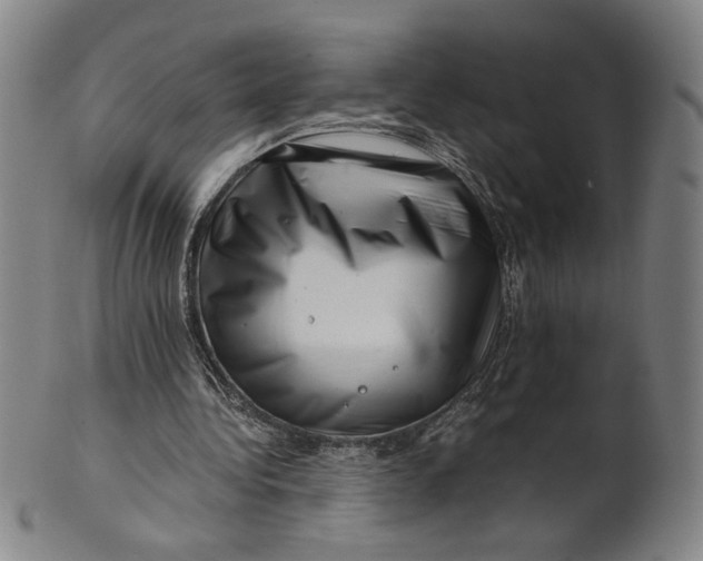 X0000101960340200808081533