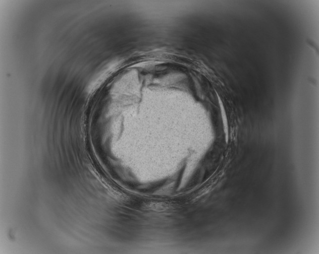 X0000101960341200808081533