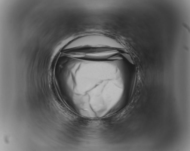 X0000101960342200808081533