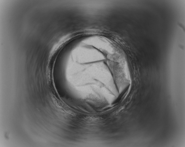 X0000101960343200808081533