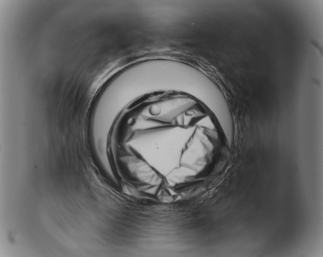 X0000101960344200808081533