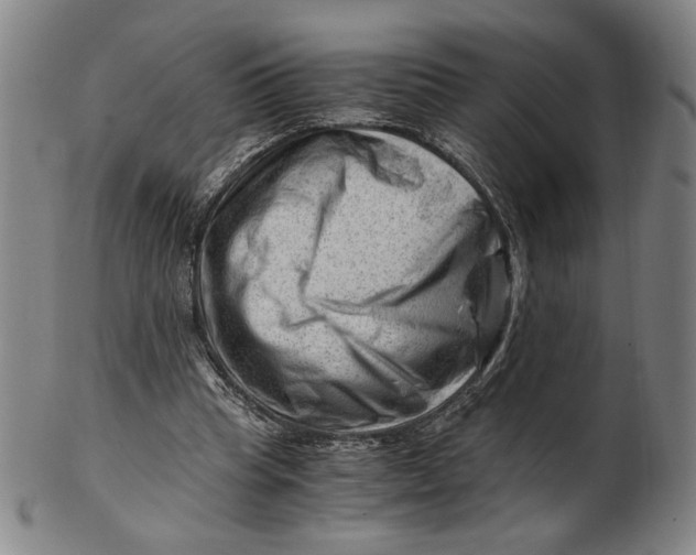 X0000101960345200808081533