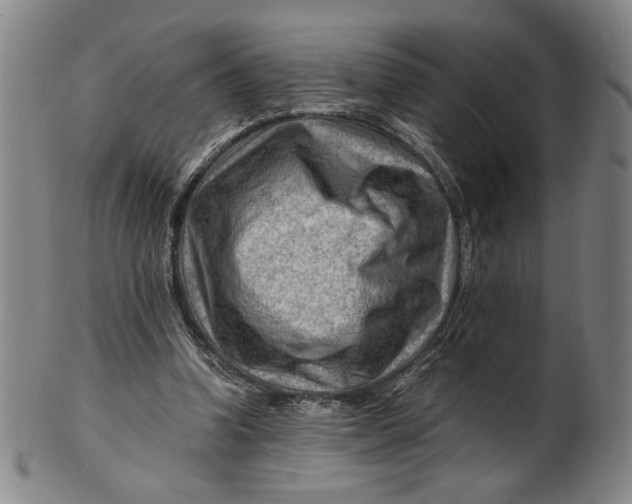 X0000101960346200808081533