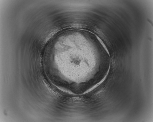 X0000101960347200808081533