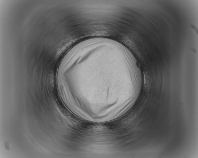 X0000101960348200808081533