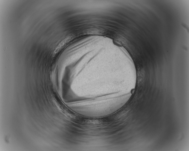 X0000101960349200808081533