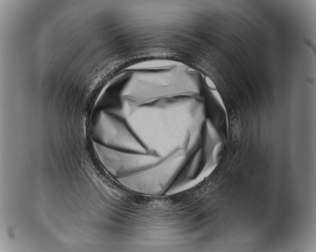 X0000101960350200808081533
