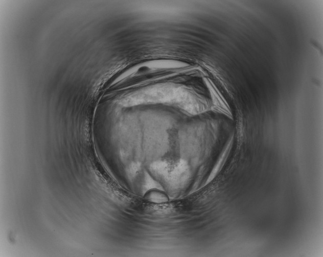X0000101960353200808081533
