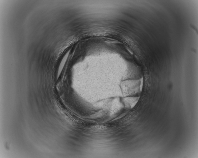 X0000101960354200808081533