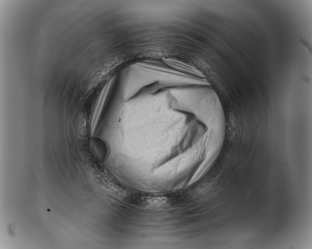 X0000101960355200808081533
