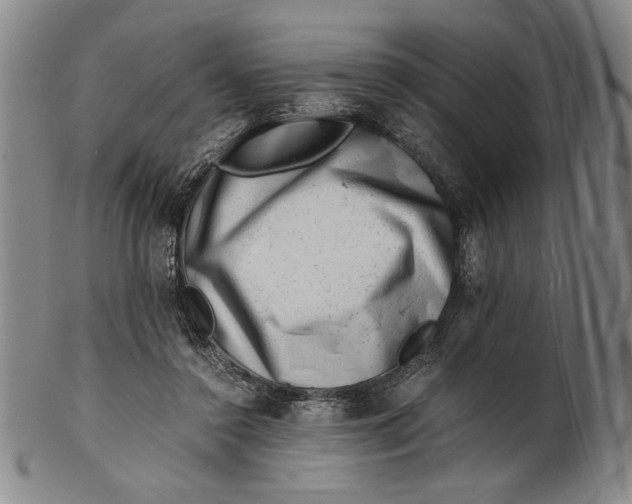 X0000101960356200808081533