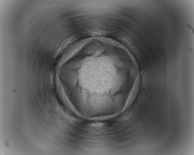 X0000101960357200808081533