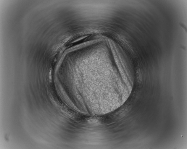 X0000101960358200808081533