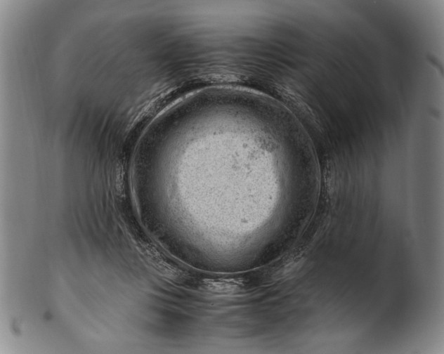 X0000101960359200808081533