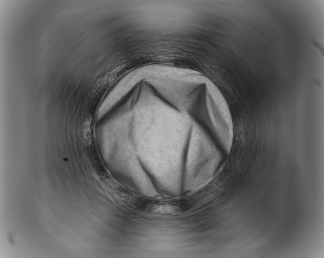 X0000101960360200808081533