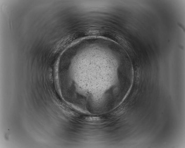 X0000101960361200808081533