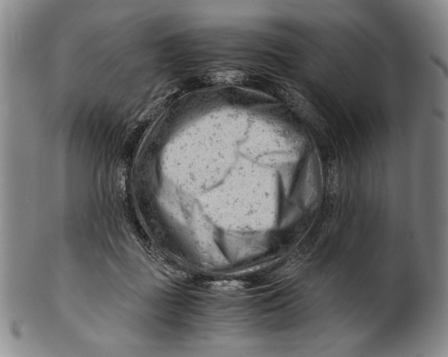 X0000101960363200808081533