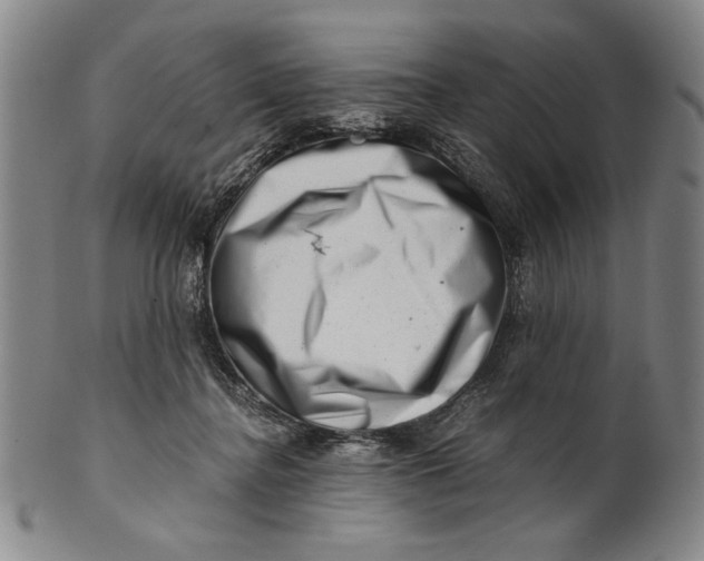 X0000101960364200808081533