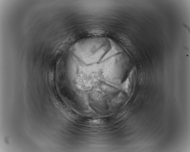 X0000101960365200808081533