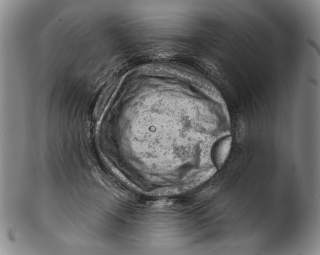 X0000101960366200808081533
