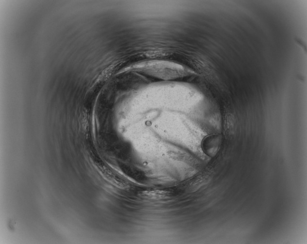 X0000101960367200808081533