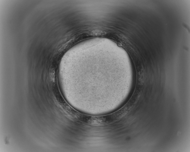 X0000101960368200808081533